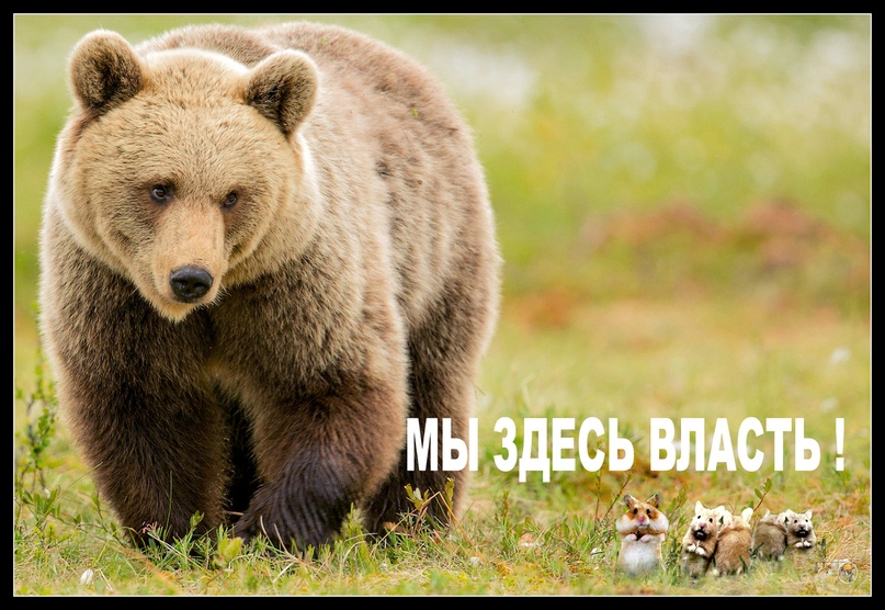 "Ради чего?!"