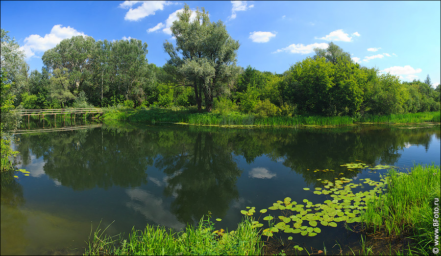 Природа России, ч.2 Природа России, ч.2