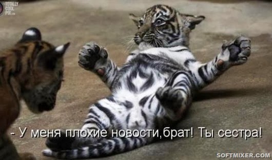 23691d994fb780ac723351e1ee4_prev