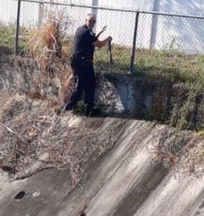 Полицейский возле забора Сидя во дворе, женщина внезапно заметила возню возле канавы. Через миг она поняла, что в грязной жиже увязла собака
