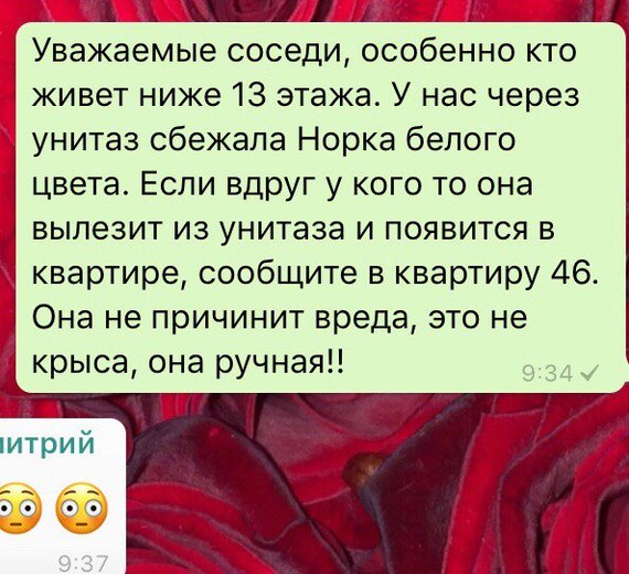 Если вас смыло в унитаз... Если вас смыло в унитаз...