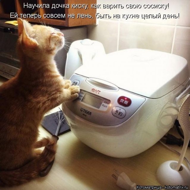 Самые смешные котоматрицы для хорошего настроения) Самые смешные котоматрицы для хорошего настроения)