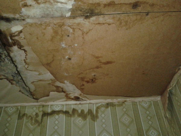 еще более страшные места на потолке показывать не буду - чтобы не пугать вас)) еще более страшные места на потолке показывать не буду - чтобы не пугать вас))