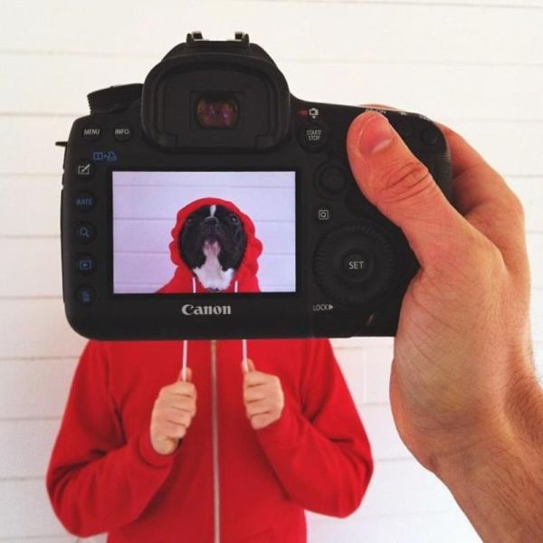 Необычный фотопроект с питомцами и их хозяевами (20 фото) Необычный фотопроект с питомцами и их хозяевами