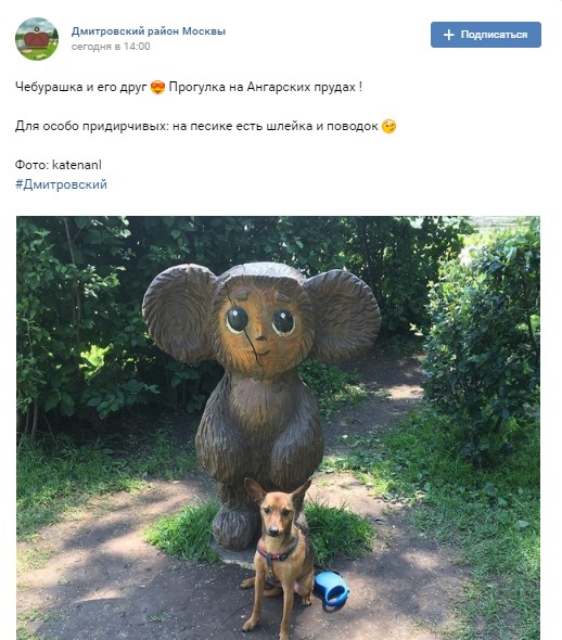 Чебурашка встретил друга в парке на Ангарских прудах