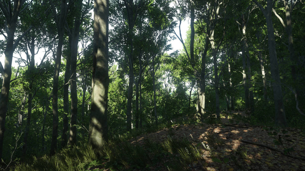 Общий сбор — впечатления от Kingdom Come: Deliverance