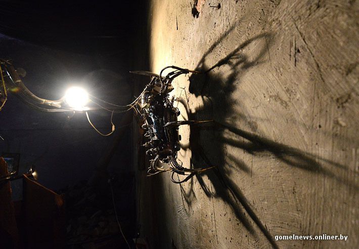 механизм, насекомые, мастер