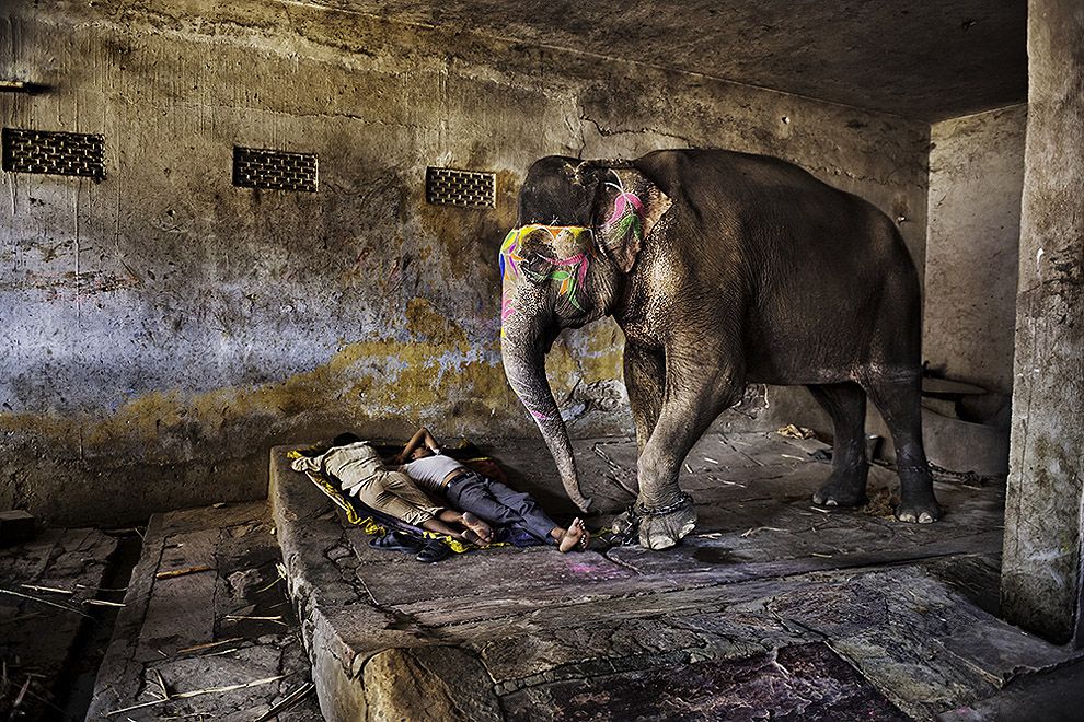 McCurry09 Самые красивые фотографии Стива Мак Карри со всего света