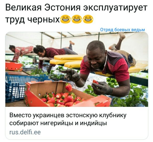 Украинским СМИ предписано подавать информацию о Крыме «с надрывом и скорбью»