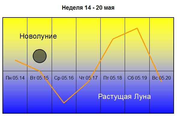 Коррупция отступает! Коррупция отступает!