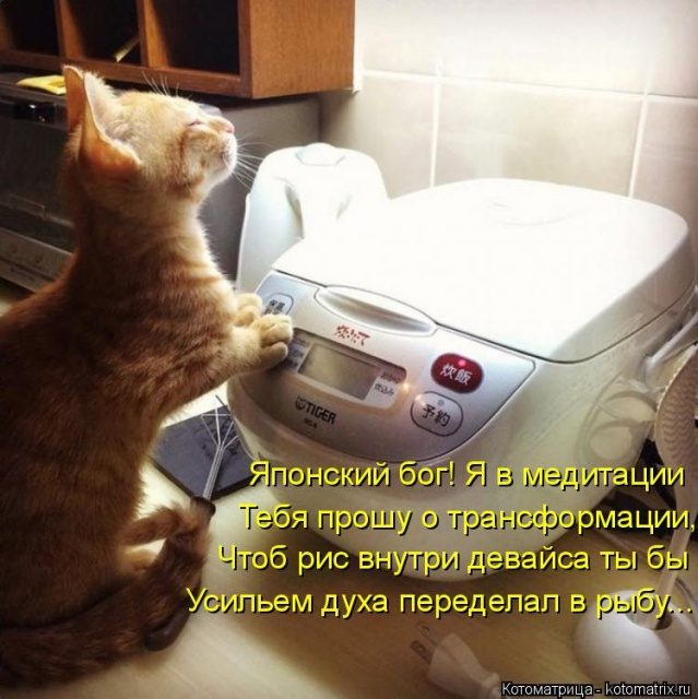 Самые смешные котоматрицы для хорошего настроения) Самые смешные котоматрицы для хорошего настроения)