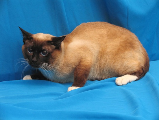 ������� ��������� � ������� ����� �����