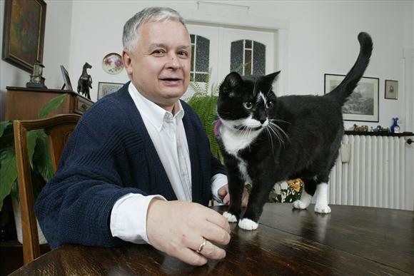 ����� ����������� � �������-���������