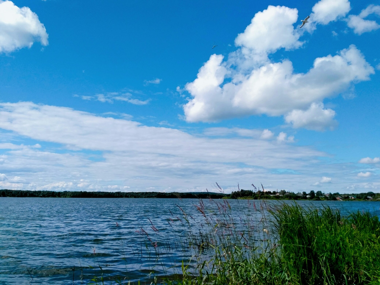Природа России 35