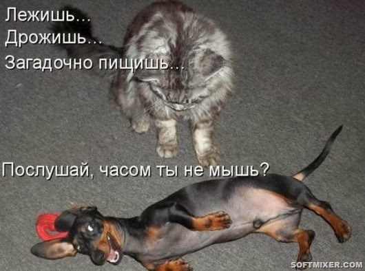 9c94a4893387ffb7624dca2e07e_prev