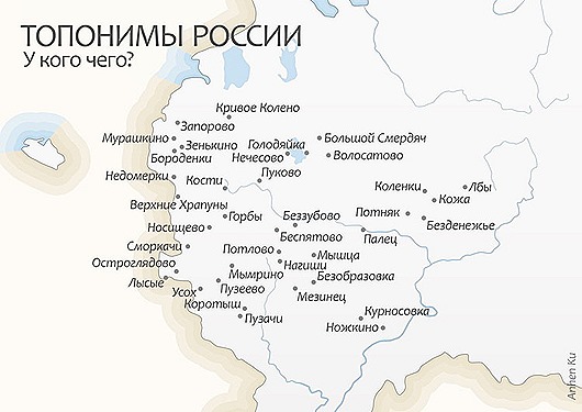 24464836