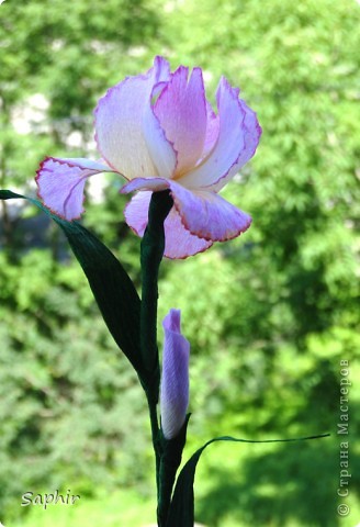 Поделка изделие Бумагопластика Квиллинг ИРИС Бумага гофрированная фото 3