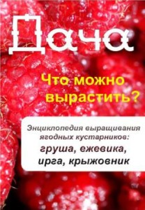 Дача. Что можно вырастить? Энциклопедия выращивания ягодных кустарников: груша, ежевика, ирга, крыжовник