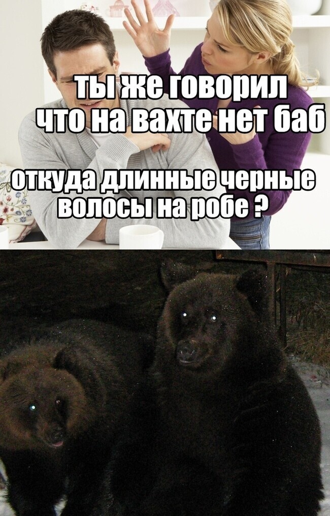 Эти ребята с чувством юмора Как живется типичному отечественному вахтовому работнику
(15 фото)