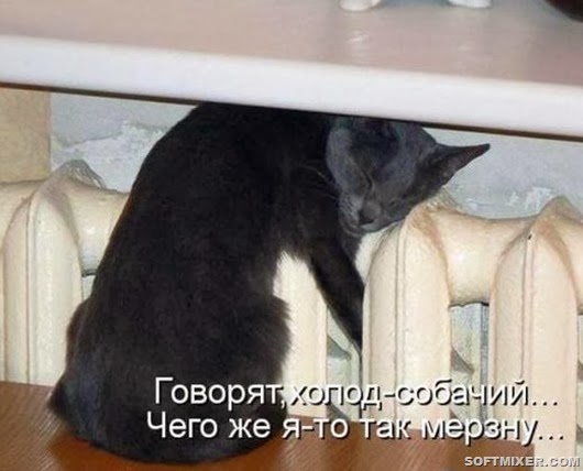 25ae837c99de32edfe4806a3890_prev