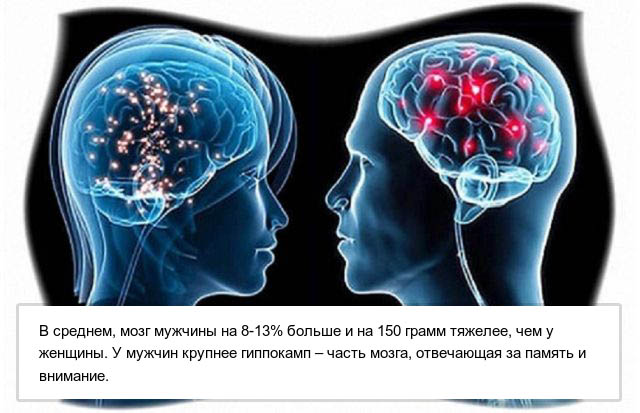Познавательные факты о мужском теле (10 фото) Познавательные факты о мужском теле (10 фото)
