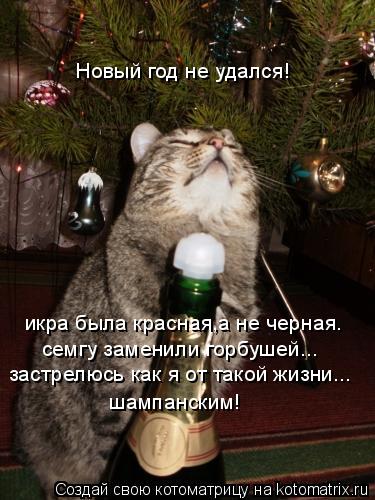 Котоматрицы новогодние великолепные, каждая с кусочком тепла, позитива и улыбкой!