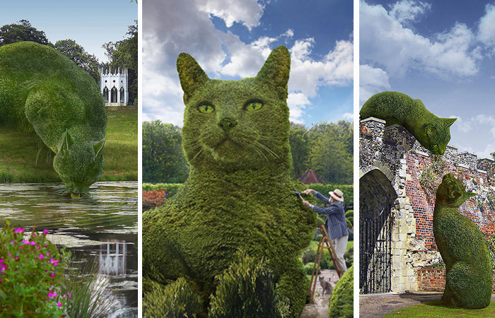 Коты в английских парках: Почему огромные стриженные кусты вызвали настоящий ажиотаж в Интернете
