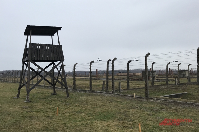 «Освенцим освободили американцы». Кто и почему перевирает историю?