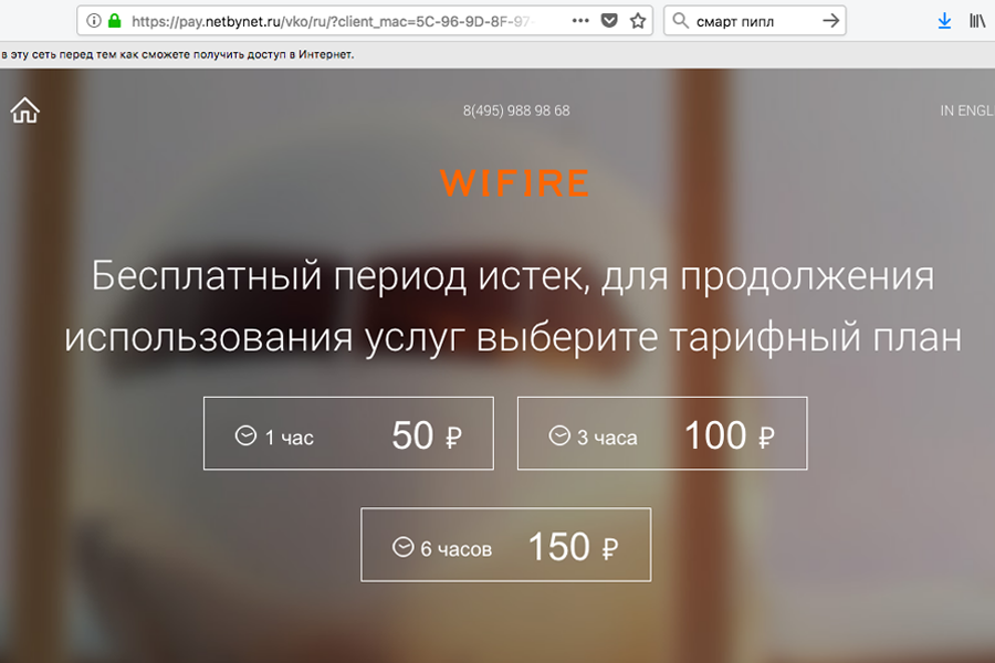 Внуково, уберите это жлобство, не позорьтесь Внуково, уберите это жлобство, не позорьтесь