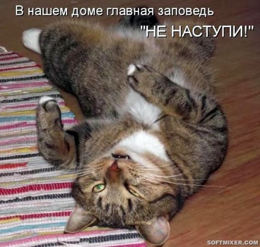 904b7bc9bdf34bfb77d265be6f4_prev