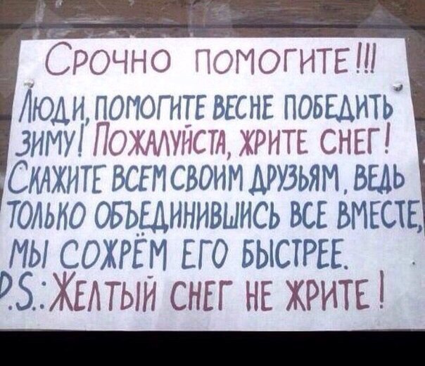 Картинки без политики Картинки без политики