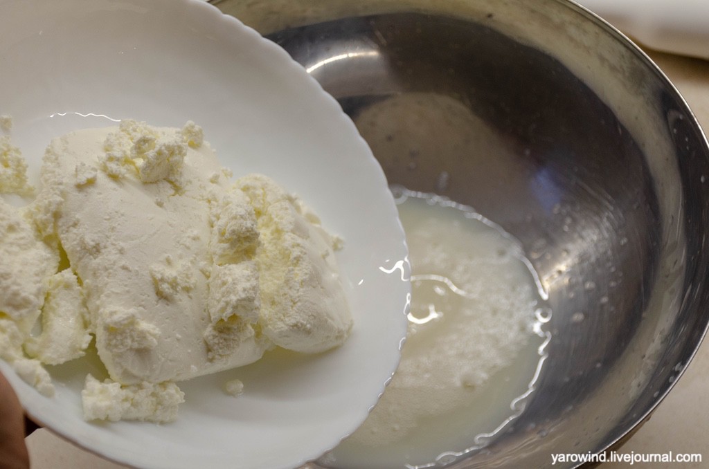 DSC_9484.jpg DSC_9484.jpg