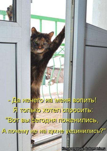 Самые смешные котоматрицы для хорошего настроения) Самые смешные котоматрицы для хорошего настроения)