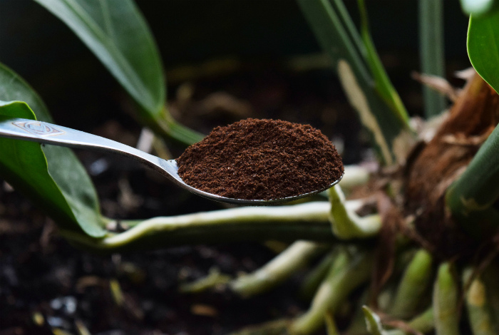 3925073_4fertilizer (700x470, 137Kb)