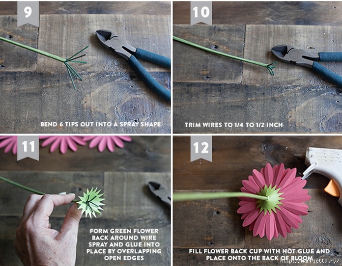 ГЕРБЕРЫ из цветной бумаги. Шаблоны и фото мастер-класс (6) (696x542, 260Kb)