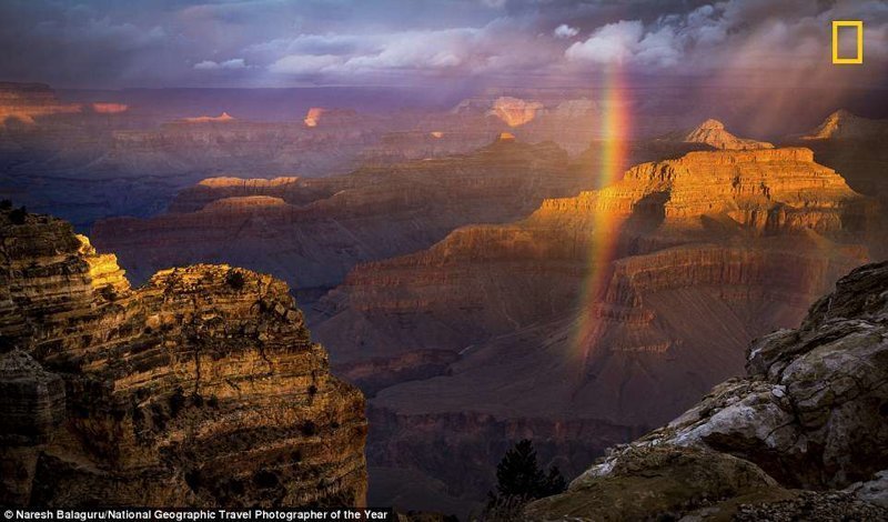 Радуга над Гранд-Каньоном. Нареш Балагуру, США National Geographic Travel, National Geographic Traveler, national geograhic, лучшие фото года, лучшие фотографии, путешествия, фотоконкурс, фотоконкурсы. природа