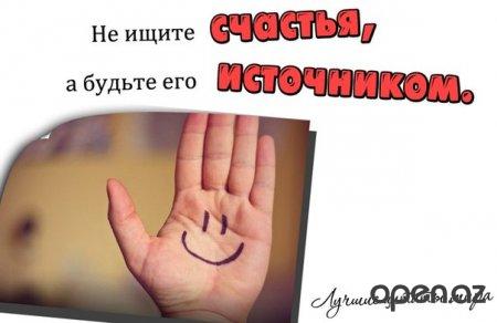 "  " (46   )