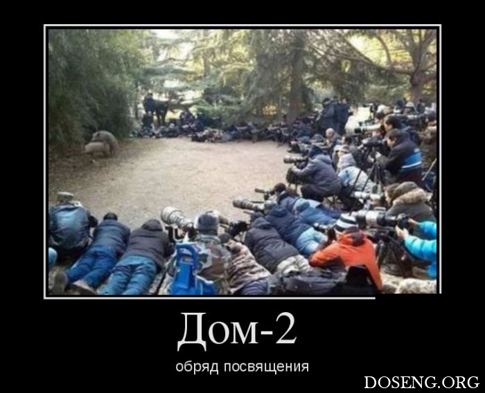 Демотиваторы Демотиваторы