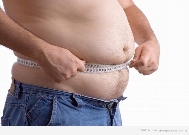 полный человек