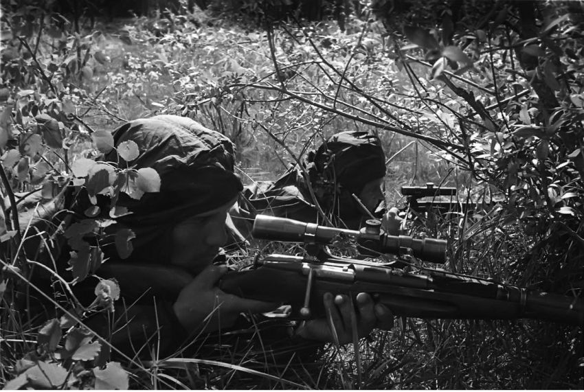 снайпер, война, история