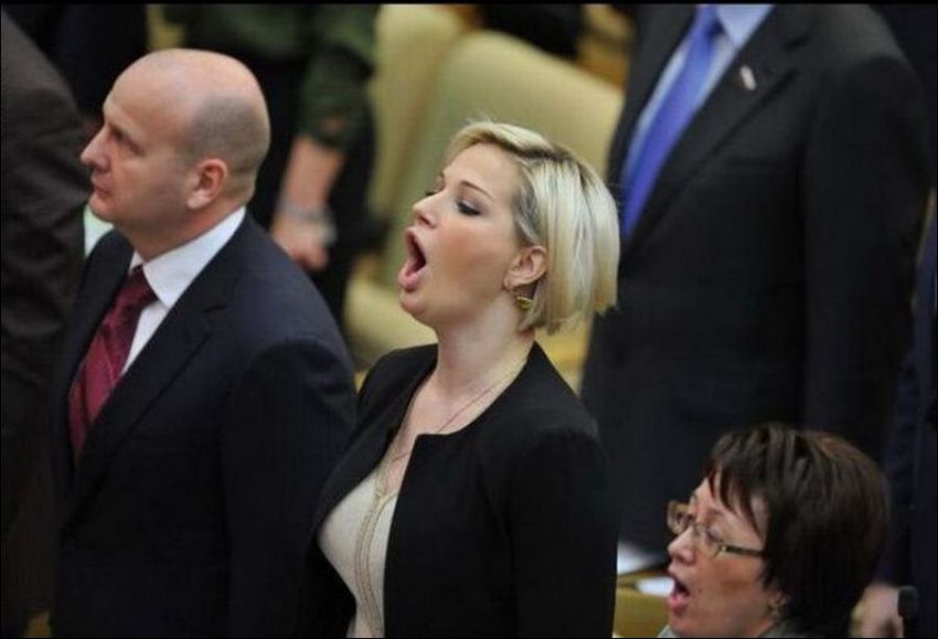 девушки, знаменитости, истории