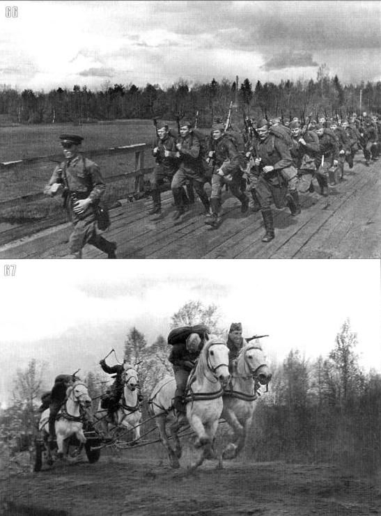 41inf5