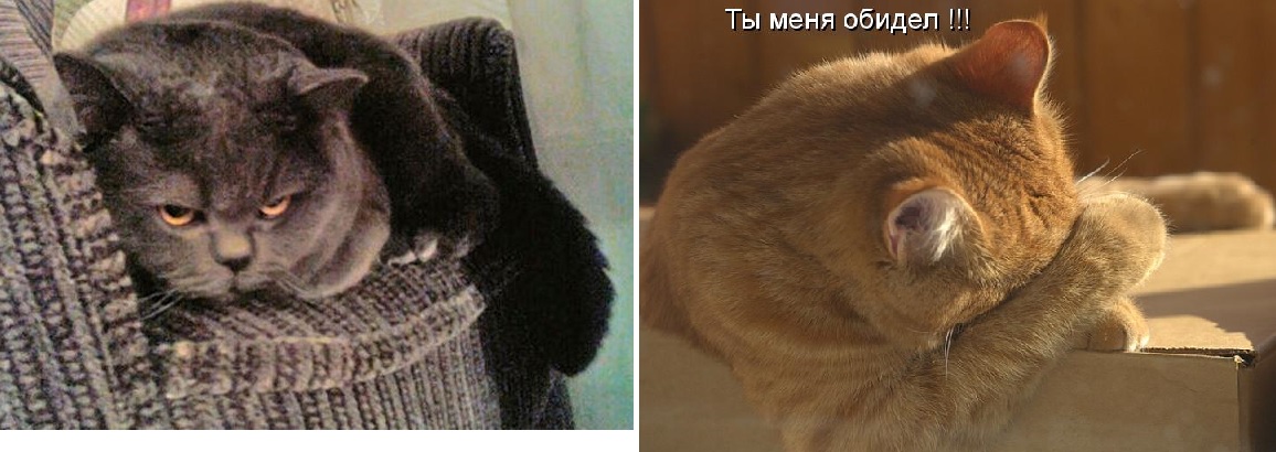 Обидели дитятко!