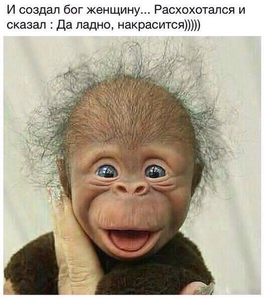 Один спрашивает другого: - Что-то твою подругу невидно, поругались?.. Один спрашивает другого: - Что-то твою подругу невидно, поругались?..