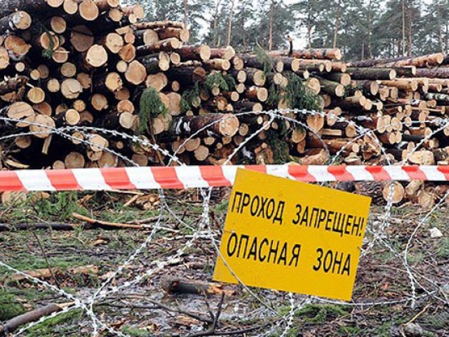 В гей-ропе почти не осталось лесов. Из-за жадности олигархата Россия тоже катится в безлесье. В гей-ропе почти не осталось лесов. Из-за жадности олигархата Россия тоже катится в безлесье.