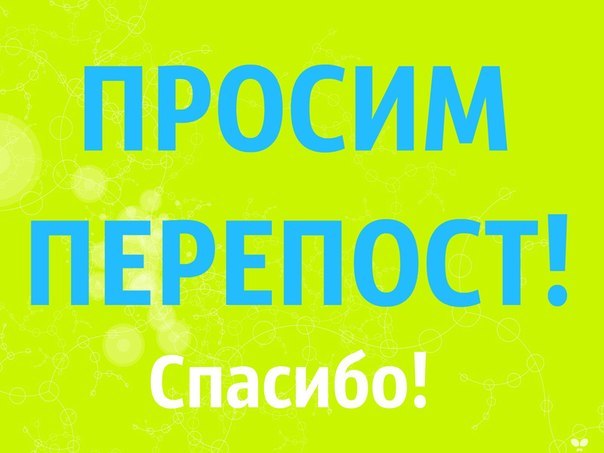 У нам с вами есть выбор!!! Выбор взять котят на время или пройти мимо, надеясь, что поможет другой...