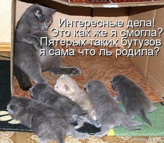 6e44e054478b8b3dc713a0a8c1b_prev