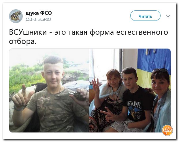 Соцсети жгут! С юмором о злободневном в ехидных скриншотах (политсатира) Соцсети жгут! С юмором о злободневном в ехидных скриншотах (политсатира)