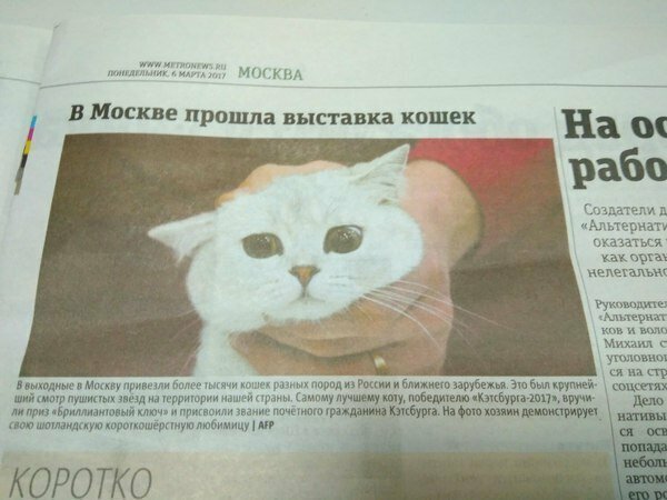 Все прекрасно, когда в газете работает фотограф ОТ БОГА А вы говорите в интернете ерунду пишут!
(21 фото)