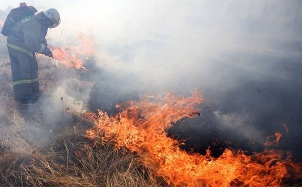 За сутки в Приамурье зарегистрировано 14 природных пожаров